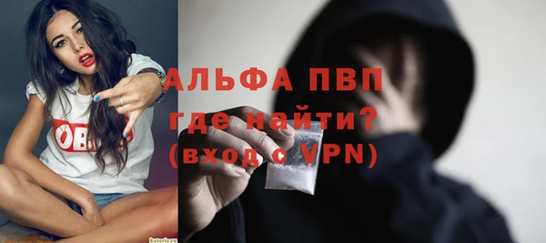 сатива Баксан