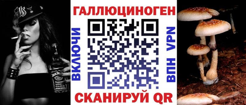 Псилоцибиновые грибы Psilocybe Лахденпохья